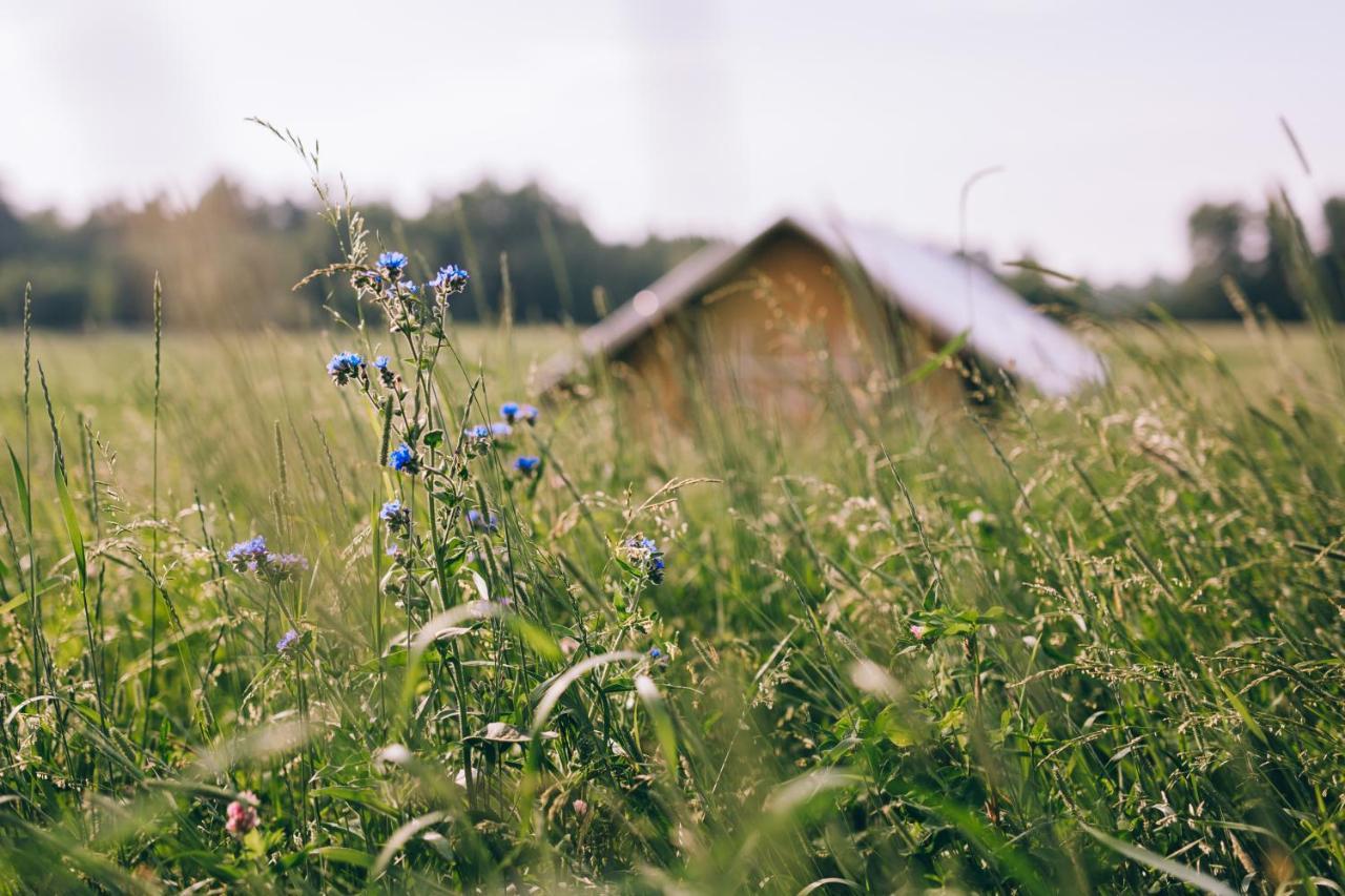 Muuski Glempings Korneti Bagian luar foto