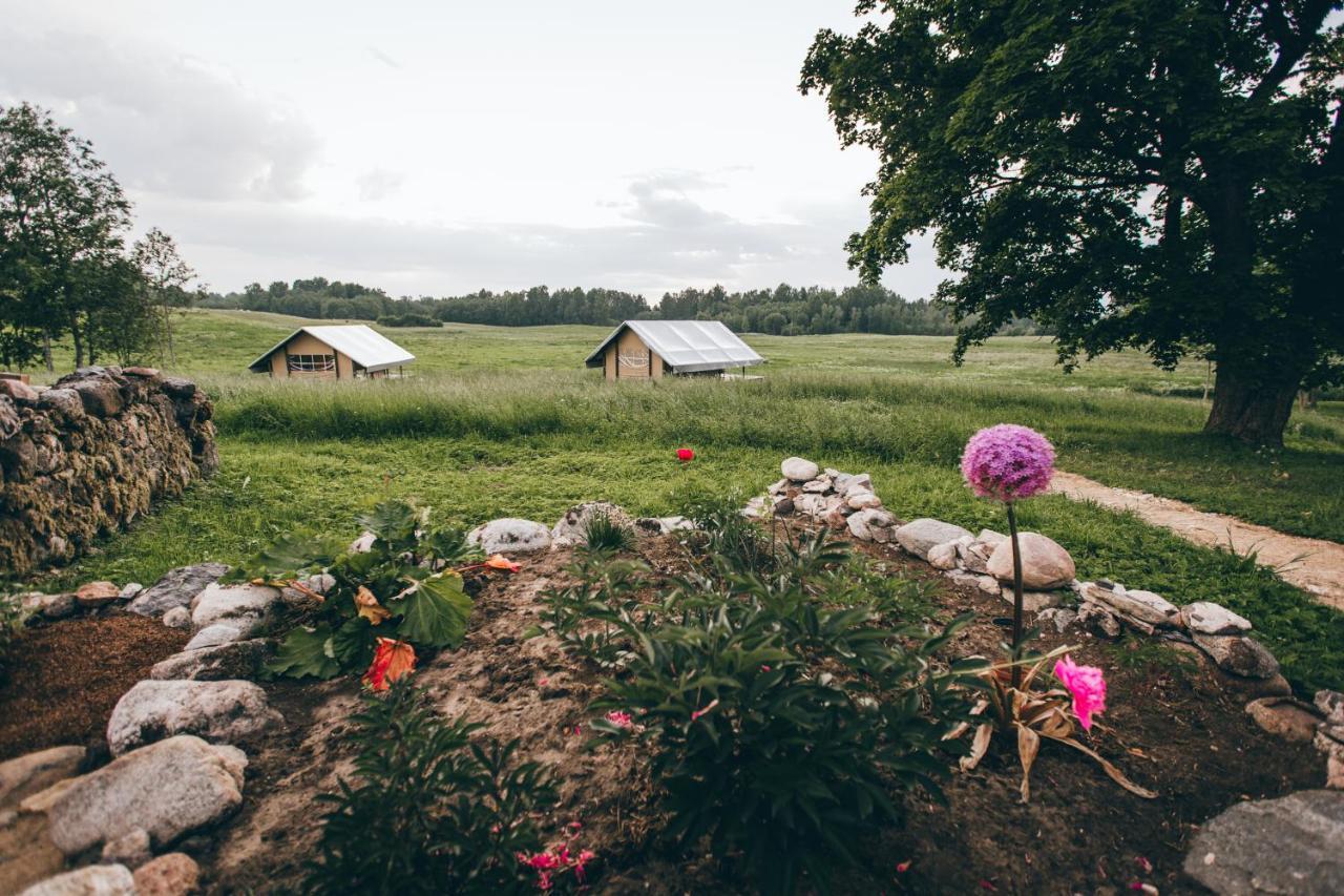 Muuski Glempings Korneti Bagian luar foto
