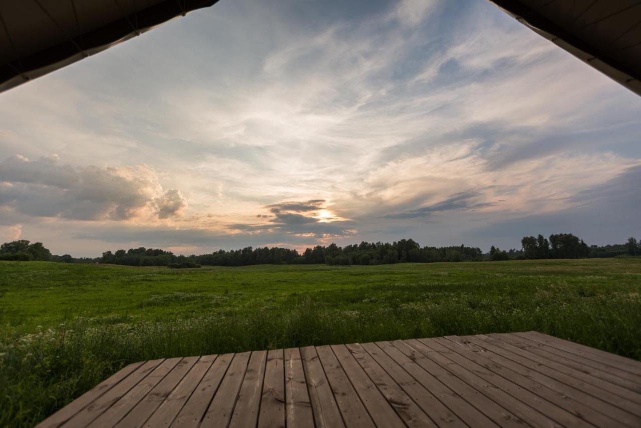 Muuski Glempings Korneti Bagian luar foto