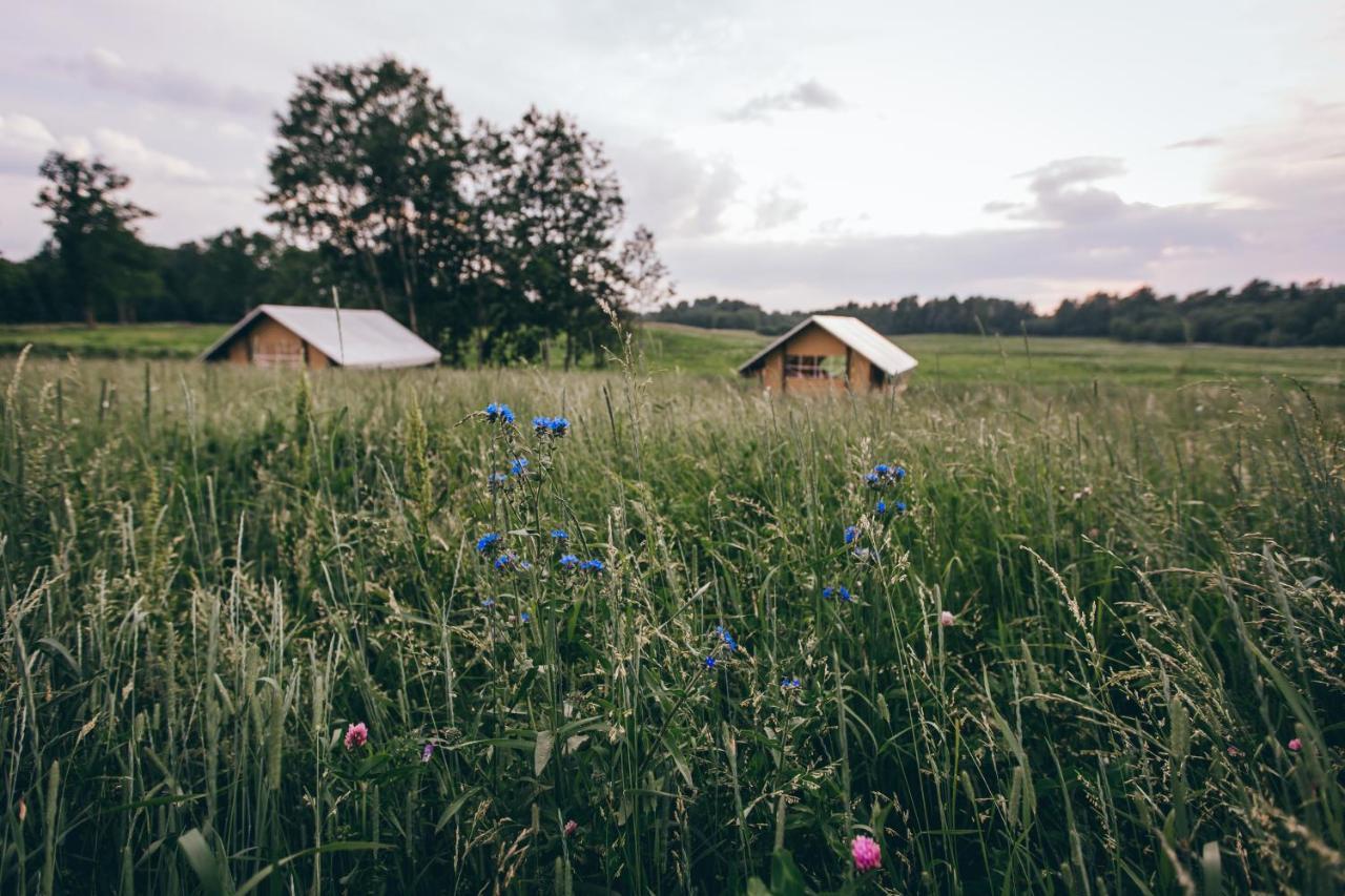 Muuski Glempings Korneti Bagian luar foto