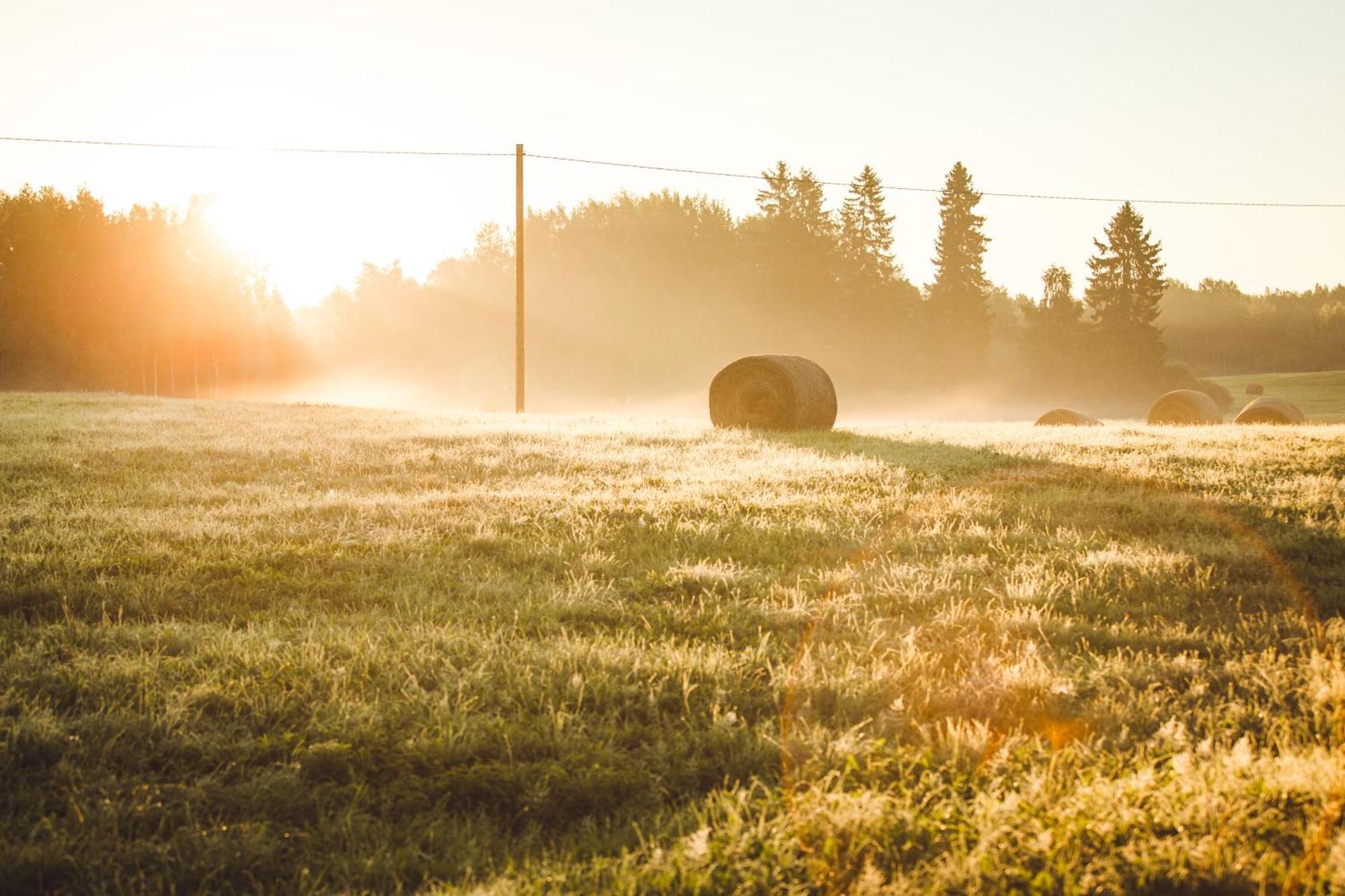 Muuski Glempings Korneti Bagian luar foto